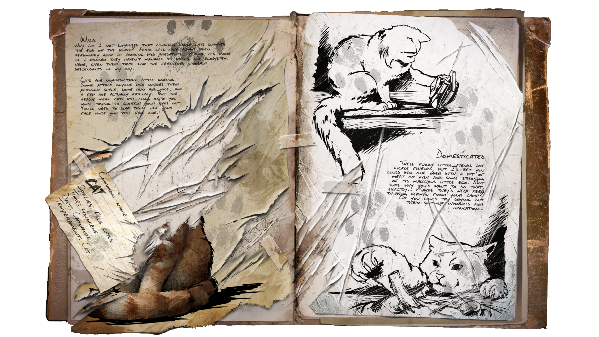 Cat dossier